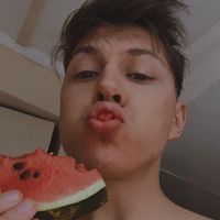 milanspamszeder