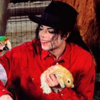 Thank You For Using This Sound