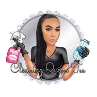 cleaningqueentee