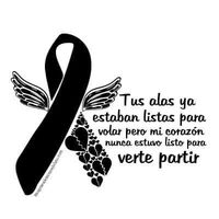 galvez0198