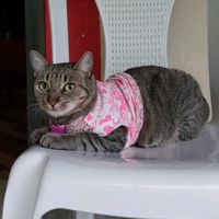 jupi_1