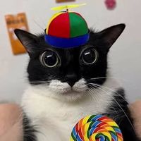 num1legendsarceusfan