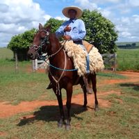 eudimi.henrique
