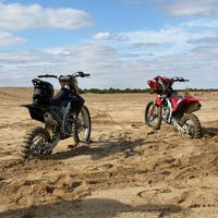that__crf2fiddy