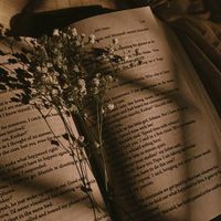 booksmadu