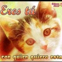 gatita_198