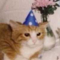 Doors Elevator Music