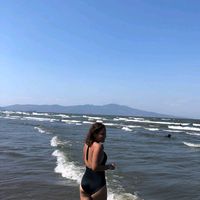 brendis004