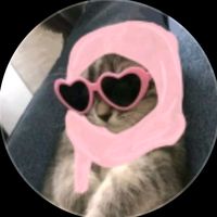 suara asli - ntaa💫