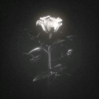 byrasec