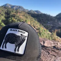 original sound - chavira754