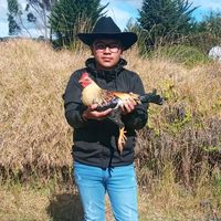 frank_b04