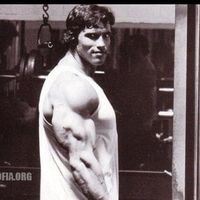motivationalbodybuilding