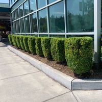 lawncaretechservices