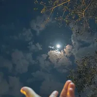 original sound - sd__2204