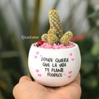 danita.sofia411