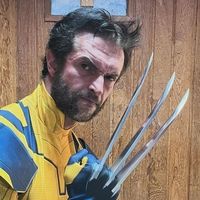 wolverinedeminas