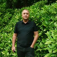 оригинальный звук