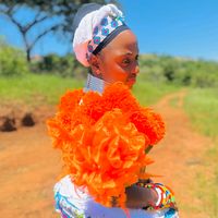 sisiemakhanya