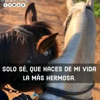 original sound - santiagolgsarely