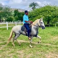 velho_motta