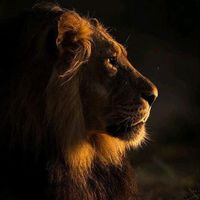 Lo Que Viene De Parte De Dios