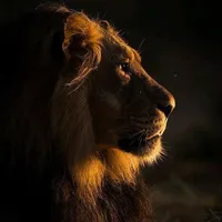 Antes De Dormir Dile a Dios