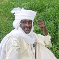 الصوت الأصلي