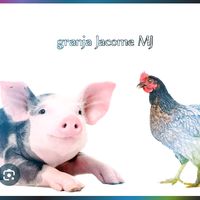 edyjacome543