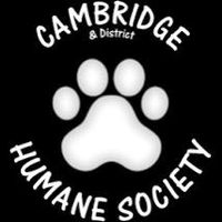 cambridgehumanesociety