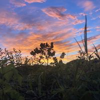 marisol.granados2000