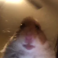 original sound - miiaz.edits