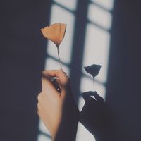 imagine_storys51