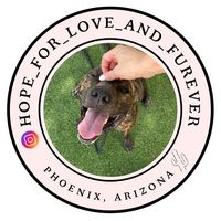 hopeforloveandfurever