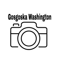 goosgooskawashinton