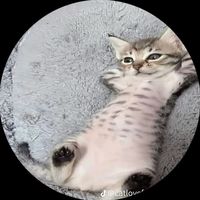 original sound - Kakuzu