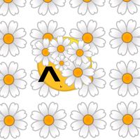 flores_zamira