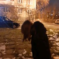 patniza.razwrata