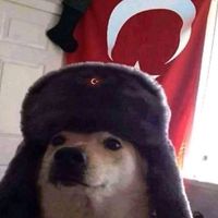 volcanomahmut.gardas