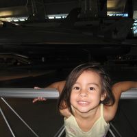 ariiibear101