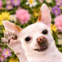 The Raven Kings audio