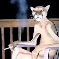 Smell Good Taste Good Scary Version