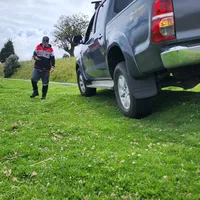 original sound - 8thepanda_