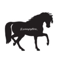 .ponnyryttare_