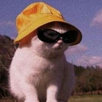 ortizzz2_3