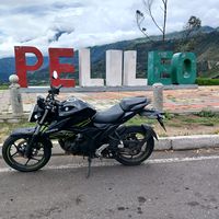 gixxerbikersolitario