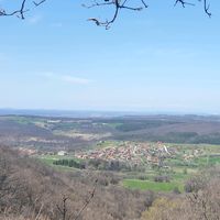 6396zimovina
