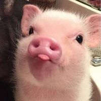 nhạc nền - Dmilion