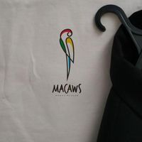 macawsconceito