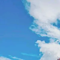 original sound - amarilismauricio477